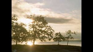 upload_2014-9-3_18-14-20.png upload_2014-9-3_18-14-20.png