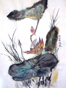 20121208荷花小鸟.JPG