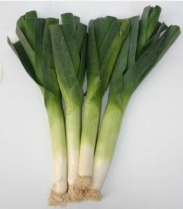 LEEK.jpg