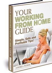 your working from home guide.jpg
