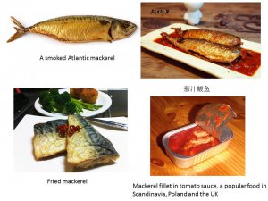 mackerel as food.jpg