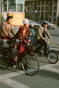 face-protector---beijing-1989_415312690_o.jpg