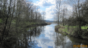 burnaby_lake2.png