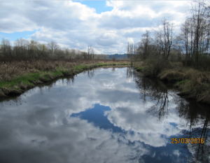 burnaby_lake5.png