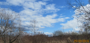 burnaby_lake11.png