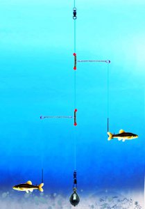 fishing_tandem_pickeral_rig.jpg