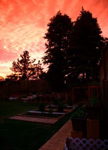 2016_06_04_b_IMG_6166_Backyard Sunset.jpg