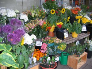 5月20日大雨滂沱 021.jpg