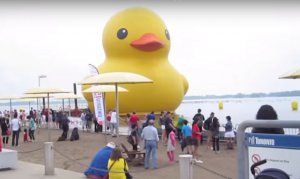 big rubber duck in Toronto.jpg