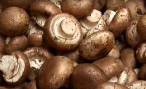 Cremini Brown Mushroom1.jpg