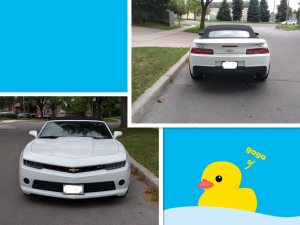 camaro1.png