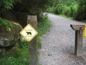 lynn canyon park1 057.jpg