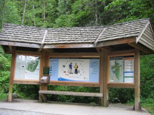 lynn canyon park1 048.jpg