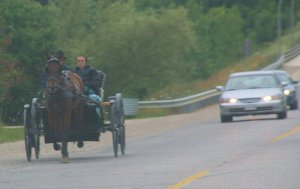 amish.jpg