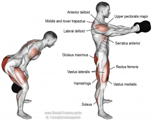 Muscle-Target-of-the-Kettlebell-Swing-Workout.png