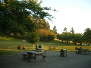 burnaby mountain 看夕阳 067.jpg