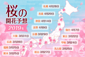 2019日本樱花季.png