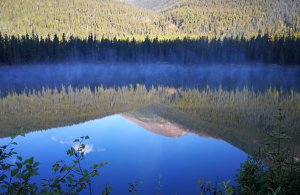 跟着老白闯BC Dease Lake- Whitehorse 19.jpg