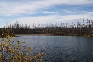 跟着老白闯BC Dease Lake- Whitehorse 20.jpg