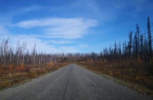 跟着老白闯BC Dease Lake- Whitehorse 21.jpg