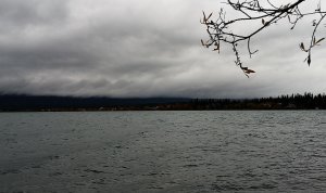 跟着老白看加拿大 育空Marsh Lake Camping露营营地11.jpg