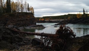 跟着老白看加拿大 BC Northern Rockies 09.jpg