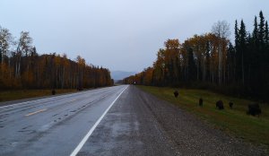 跟着老白看加拿大 BC Northern Rockies 13.jpg