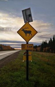 跟着老白看加拿大 BC Northern Rockies 17.jpg