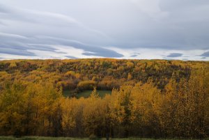 跟着老白闯BC Tumbler Ridge 01.jpg