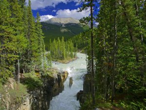 Sunny%20Sunwapta%20Falls,%20Jasper%20National%20Park,%20Alberta,%20Canada_TBytFm5VpCts.jpg