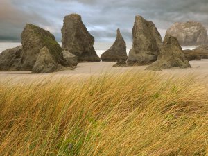 Dune_Grass_and_Seastacks_Bandon_Oregon_rNgJnZ7XOO8T.jpg