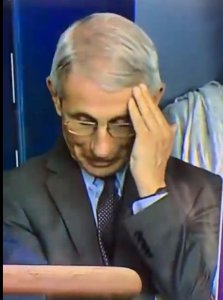 Dr. Fauci.jpg