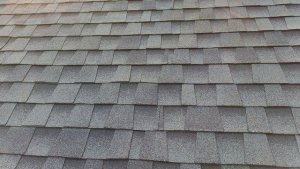 gilbert-shingle-roofing.jpg