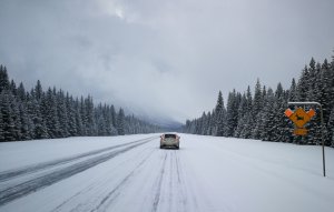 老白行走加拿大 Kootenay National Park 库特奈国家公园02.jpg