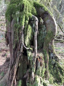 微信图片_20190324163618.jpg 微信图片_20190324163618.jpg