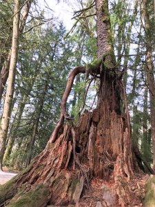 微信图片_20190324164757.jpg 微信图片_20190324164757.jpg