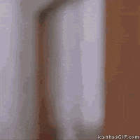 E23D2421-D604-4DF7-8251-0C96F9FA2E84.gif