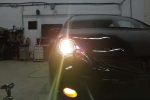 HID BULBS_HONDA.jpg