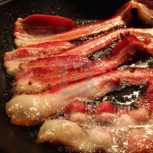 bacon.jpg