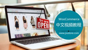 WooCommerce 中文视频教程- WordPress网上商店和跨境电商独立站.jpg