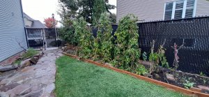 20201007_093538.jpg