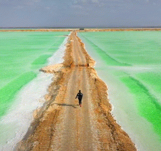 微信图片_20201210102241.gif