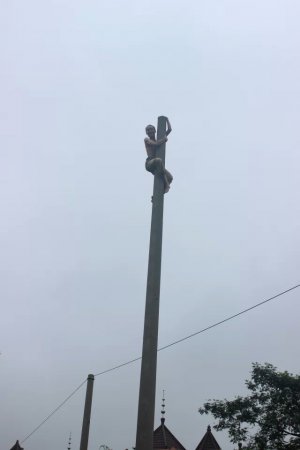 pole.jpg