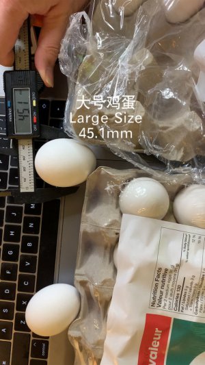 egg_size - 1.jpeg