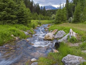 Stream_Near_Lake_Minnewanka_Banff_National_Park_Alberta_9eb5H81yc1sA.jpg