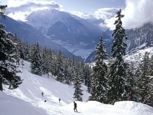 Skiing_in_the_Swiss_Alps_tlWHLVk7IpC0.jpg