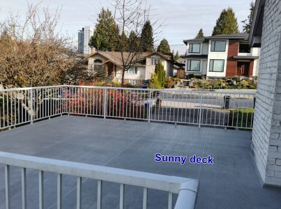 Deck-Sunny  Open view 1.jpg