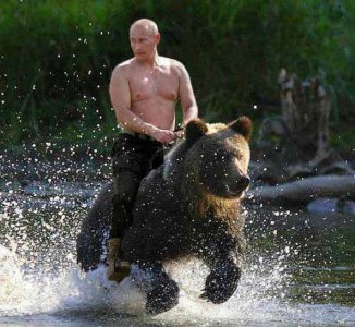 putin-riding-bear.jpg