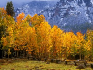 Fall_in_the_High_Country_Colorado_1tcRDpbM7s5z.jpg