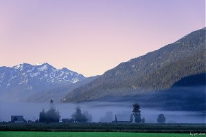 Pemberton - Foggy Morning 2.jpg